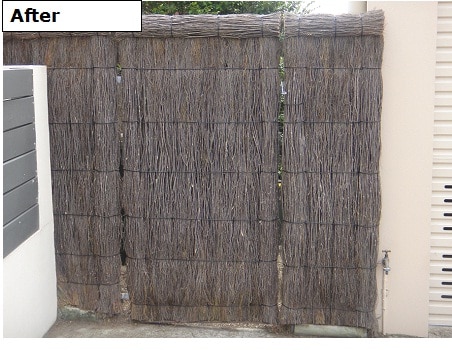 Brushfence repair after Brush-Fence-Repair-After