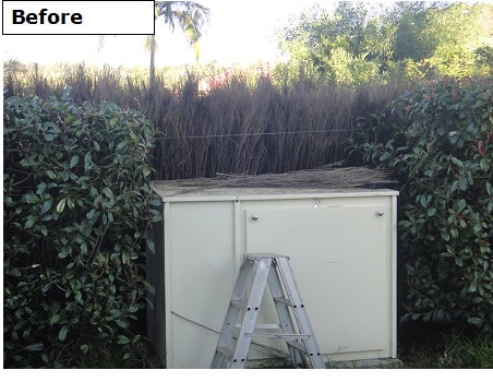 Before-Brush-Fence-Repair