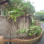 brush-wood-repair-project-before brush-wood-repair-project-before