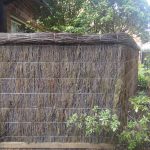 brushfencing brushfencing