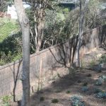 quality-brush-fencing quality-brush-fencing