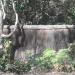 brush-fence brush-fence