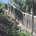 brush-wood-fencing brush-wood-fencing