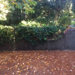 brush-fence-pymble