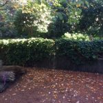 brush-fence-pymble