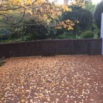 brushwood-fence-repair-pymble-after brush-fence-pymble