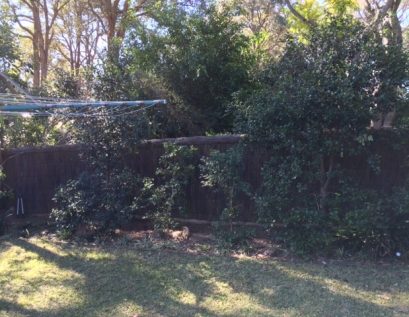 brushwood-fence-repair-killara3