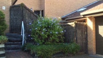 brushfence-repair-freshwater