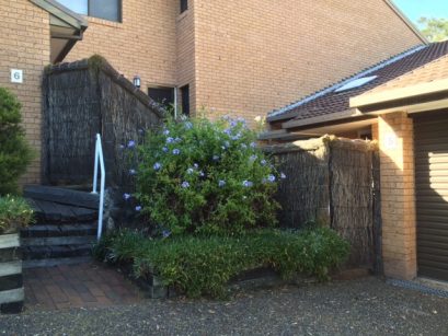 brushfence-repair-freshwater