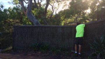 brush-fence-repair-berowra