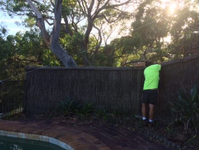 brush-fence-repair-berowra