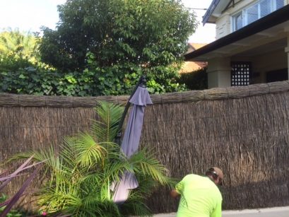 brush-roll-capping-repair-mosman