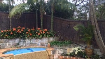 pool-compliant-fence-with-garden-renovation