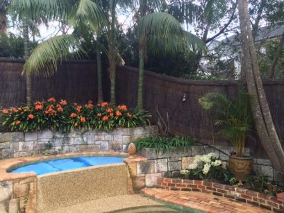 pool-compliant-fence-with-garden-renovation