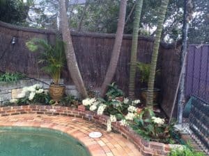 pool-compliant-fence-with-garden-renovation
