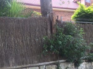 brushwood-fence-repair-before
