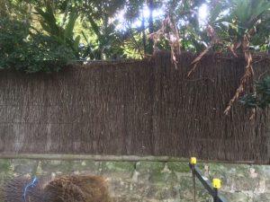 Brushwood-Fence-Repair-Before