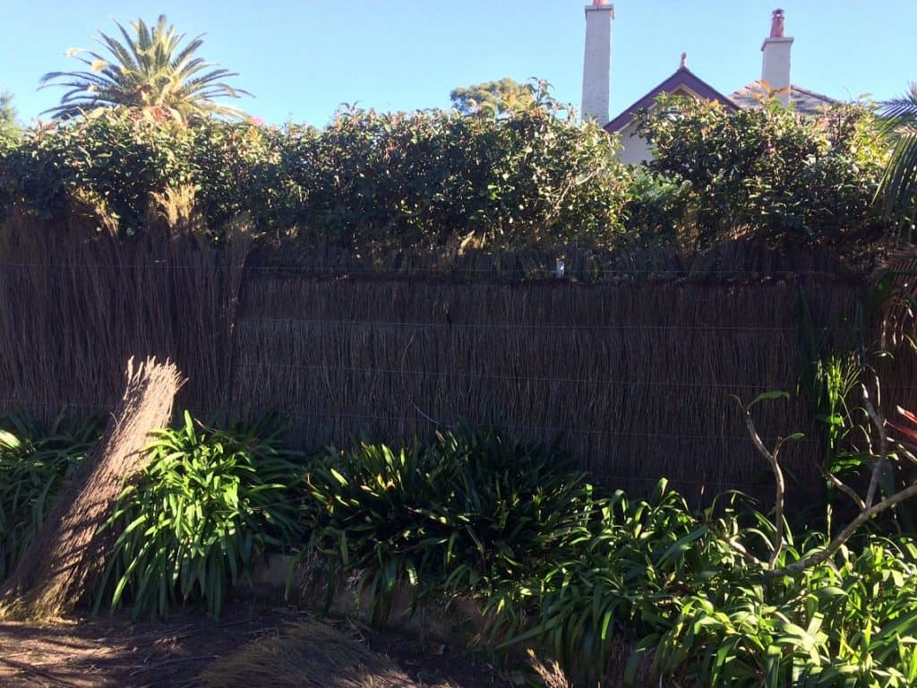 pool-compliant-brush-fence-during-work