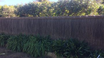 pool-compliant-brush-fence-beecroft