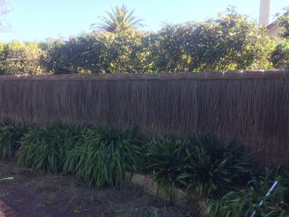 pool-compliant-brush-fence-beecroft