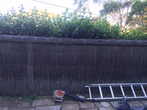 Brush-Wood-Fence-Repair-Newport