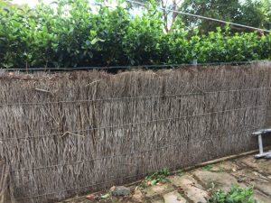 Brush-Wood-Fence-Repair-Newport