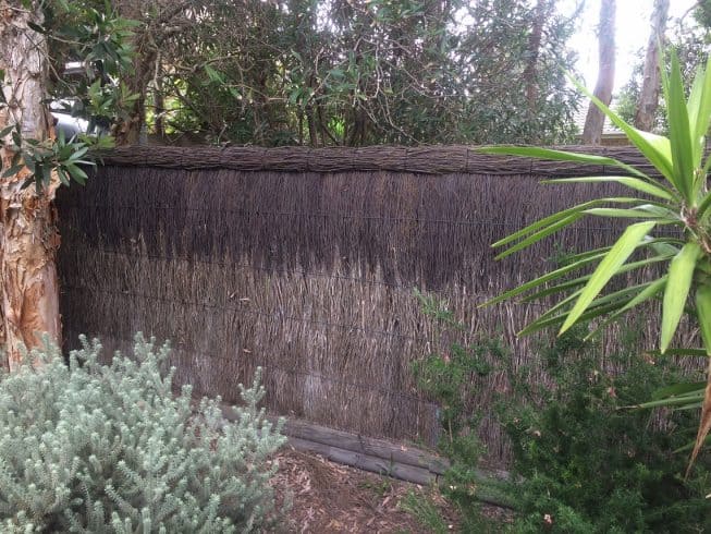 boomerang-beach-after-brush-fence-repair