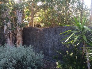 boomerang-beach-before-brush-fence-repair