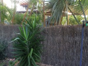 brush-repair-before-boomerang-beach