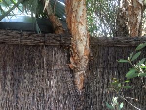 fencing-around-trees