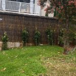 brush-fence-palm-beach2 brush-fence-palm-beach