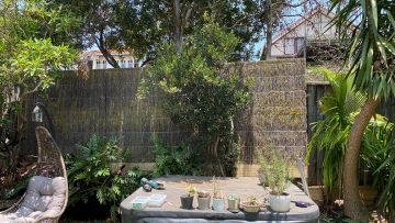 brush-panel-fence-increase-privacy