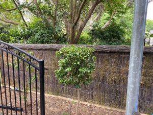 pool fence with brush panels