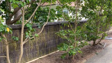 pool fence with brush panels