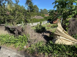 fence damage by tree in killara