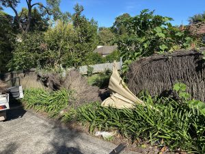fence damage by tree in killara