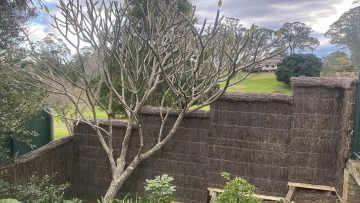 brush fence pymble golf course