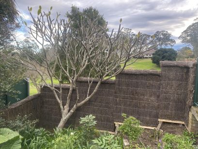 brush fence pymble golf course