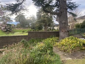 brush fence pymble golf course
