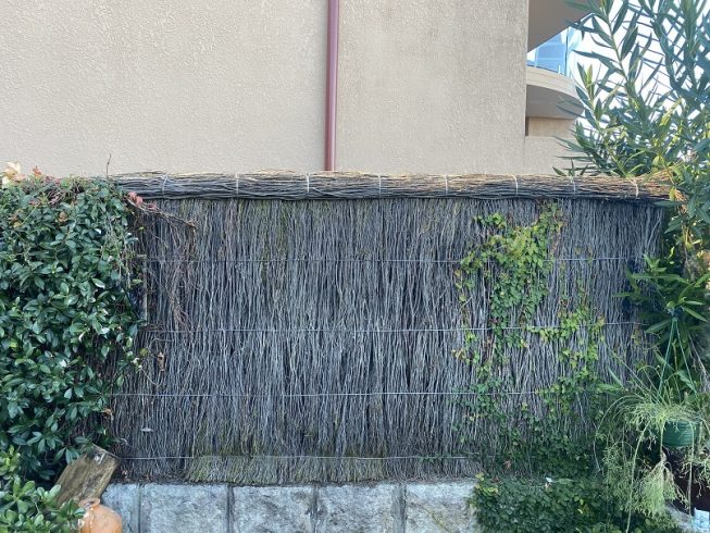 ruined brush fence repair