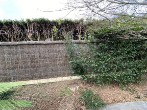 brush wood fence additional height