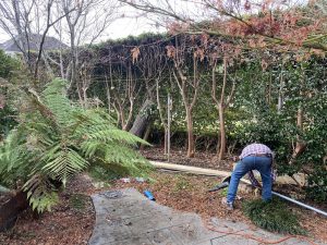 brush wood fence duffys forest