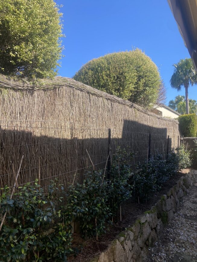 Brushwood-Fence-Repair-Wahroonga