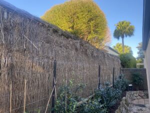 Brushwood-Fence-Repair-Wahroonga-Before