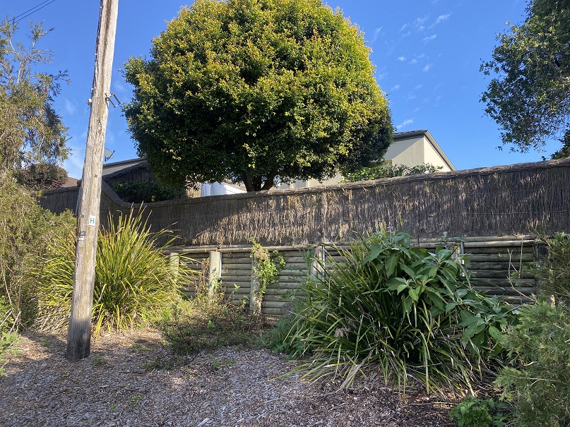 brush-fence-restoration-turramurra